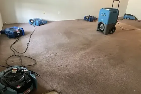 A dehumidifier and air movers operating over damp basement carpet