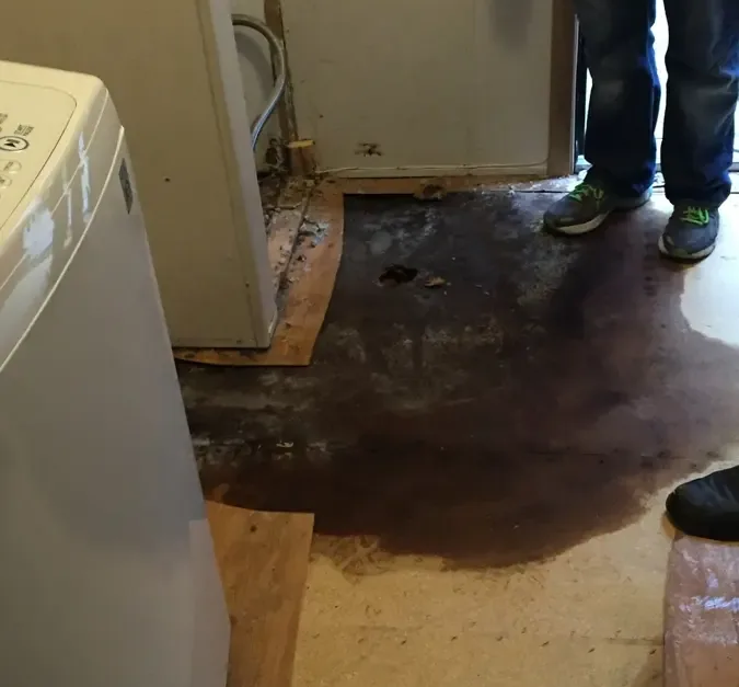 Water spread over the laundry floor beside a washing machine